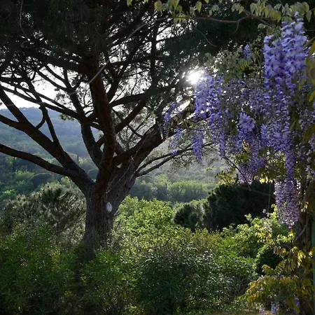 別荘 With 5 Bedrooms And Private Pool